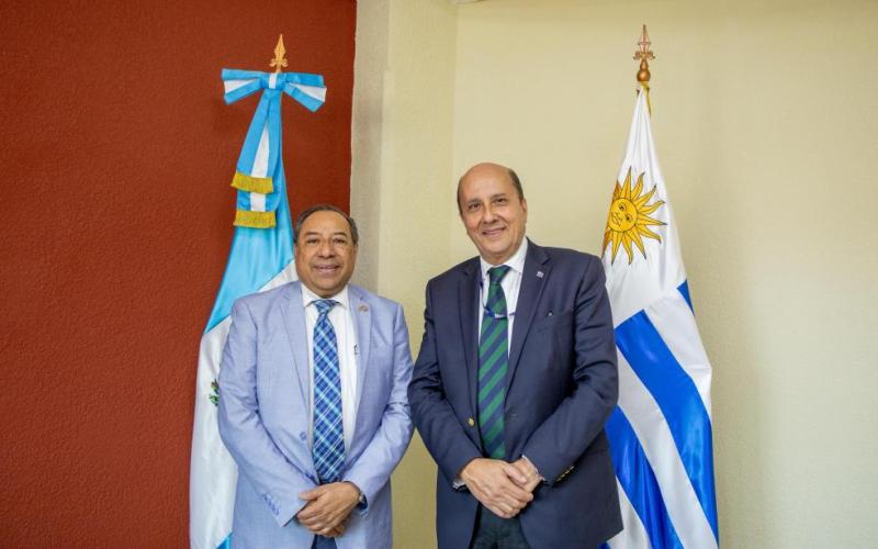 nota de prensa