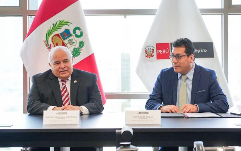 nota de prensa