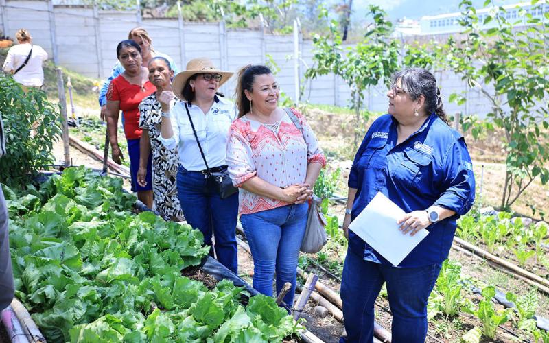 Supervisan producción de hortalizas en huerto municipal de Esquipulas