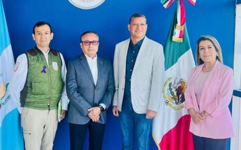 nota de prensa