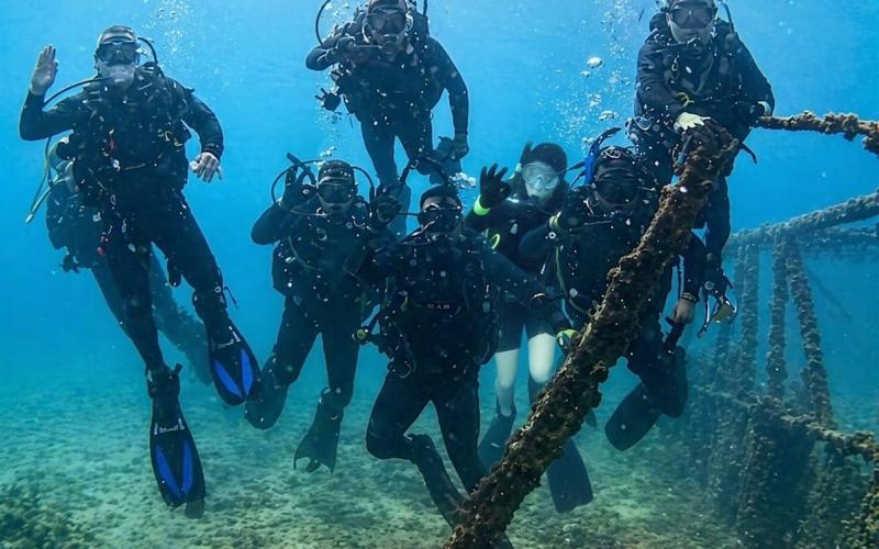 Personal militar se capacita en técnicas básicas de buceo.