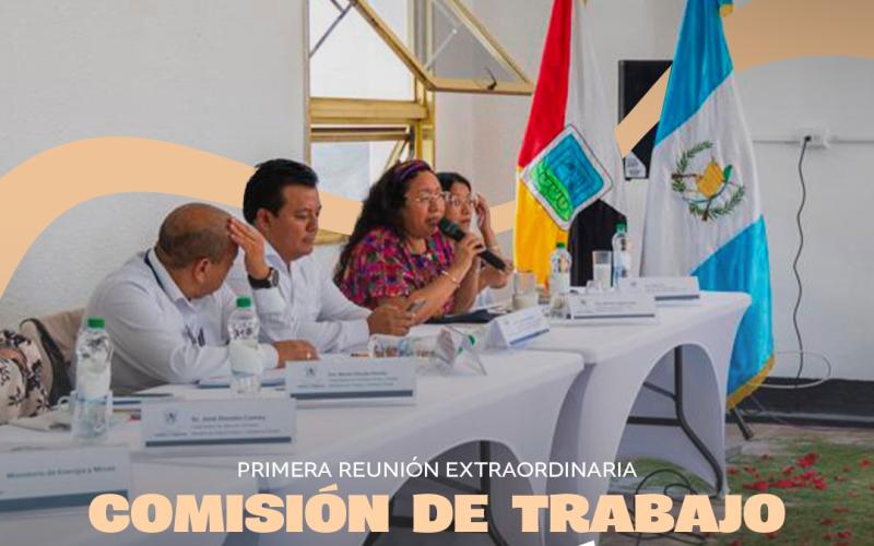 Primera Reunión Extraordinaria de la Comisión de Trabajo de Pueblos Indígenas del CONADUR