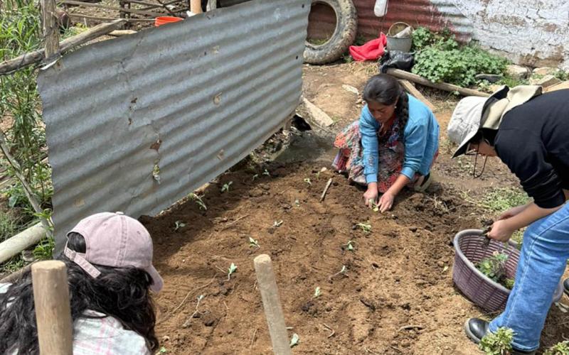 Huertos familiares apoyan la recuperación nutricional de niños en Totonicapán