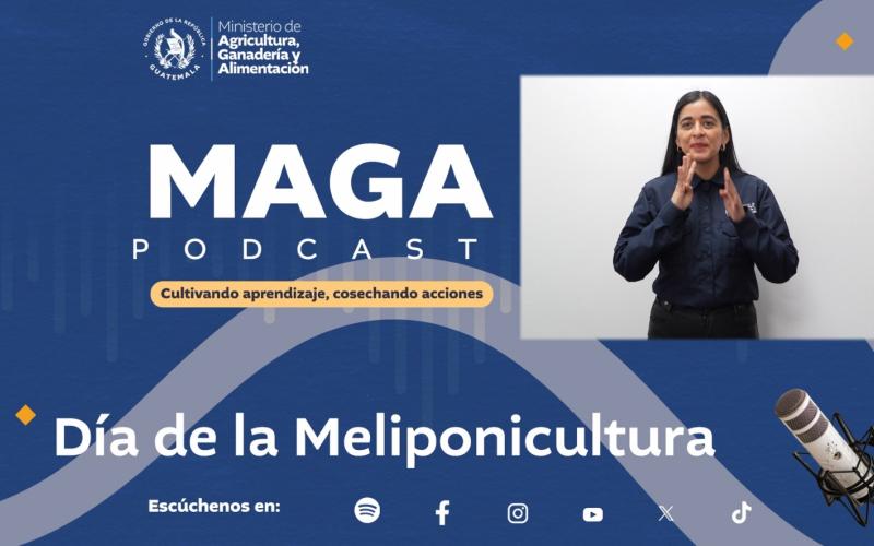 Reviva nuestro episodio sobre el Día de la Meliponicultura en el MAGA Podcast