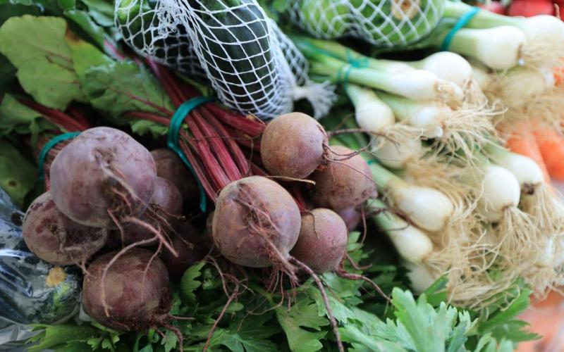 Próximamente llega la Feria del Agricultor en Granados, Baja Verapaz