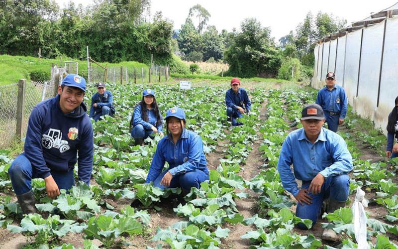 Mañana será el gran día de la Feria Agropecuaria