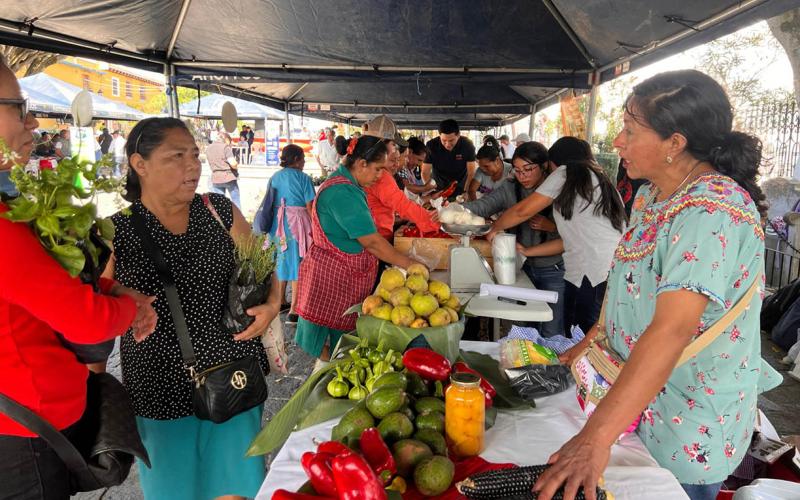Feria del Agricultor impulsa la venta directa de hortalizas y productos artesanales en Ciudad Vieja