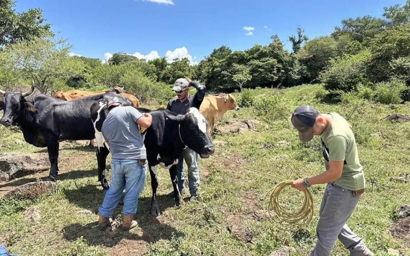 Calor se intensifica y aumenta vulnerabilidad en 143 municipios