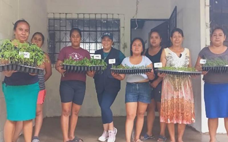Fortalecen la agricultura familiar de Villa Canales el entregar pilones de hortalizas