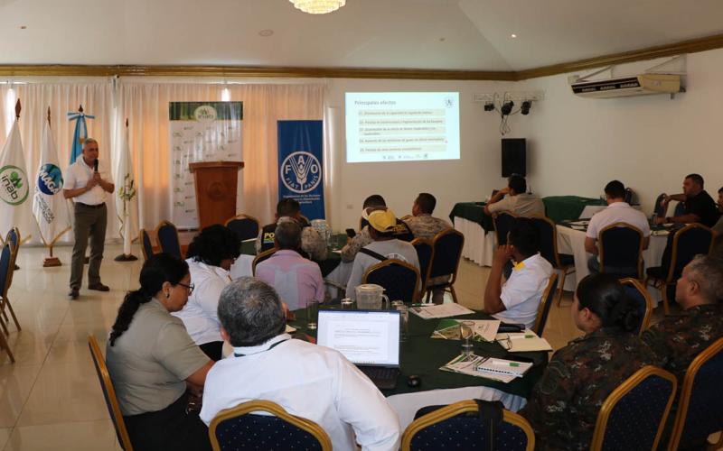 Impulsan actualización de la Política Forestal de Guatemala ante los nuevos desafíos ambientales