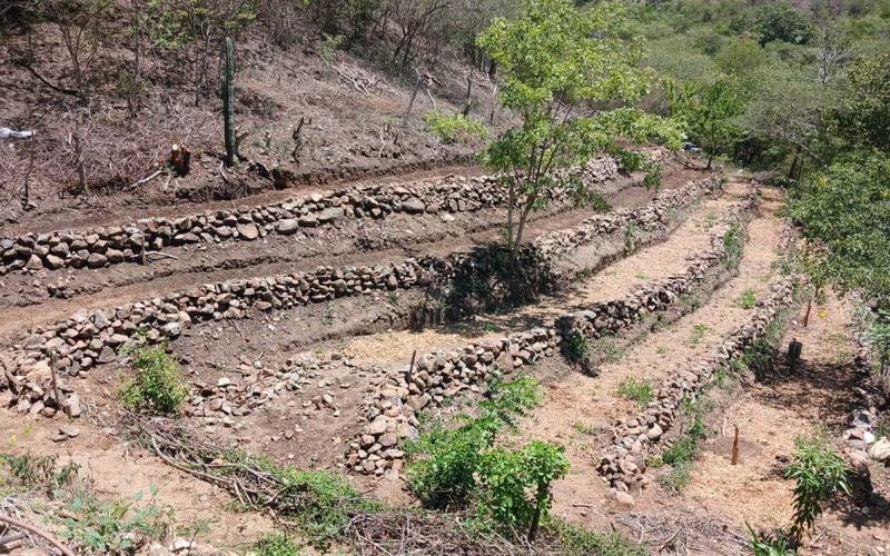 Impulsan la conservación de suelos y huertos orgánicos en Zacapa