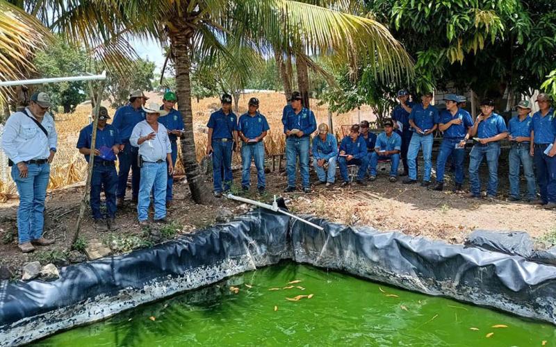 Intercambio de saberes promueve el aprendizaje agrícola y pecuario en San José La Arada