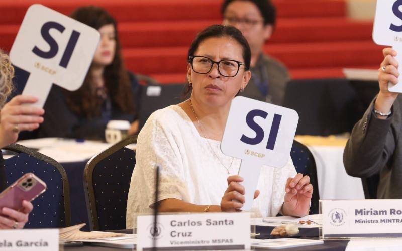 Ministra de Trabajo participa en reunión de CONADUR