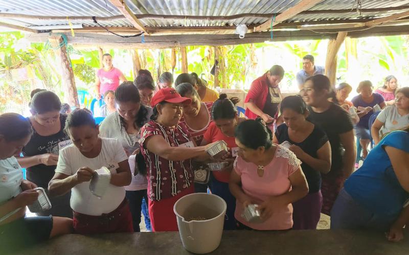 Mujeres aprenden a producir forraje hidropónico para sus aves de traspatio