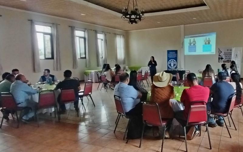 Promueven buenas prácticas normativas para abastecer el Programa de Alimentación Escolar