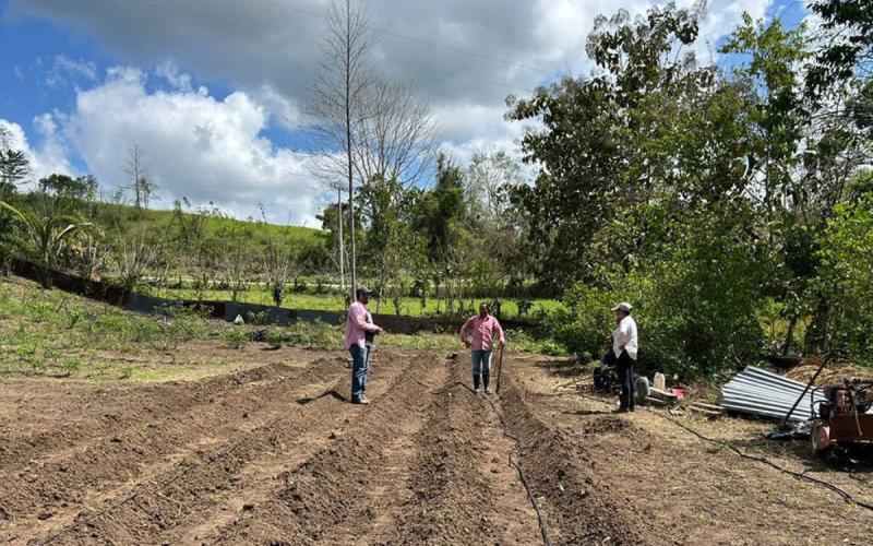 Consulte aquí los boletines agroclimáticos de septiembre y octubre 2026