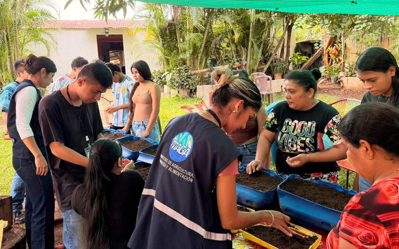 Un pequeño espacio se transforma en un huerto para producir alimentos