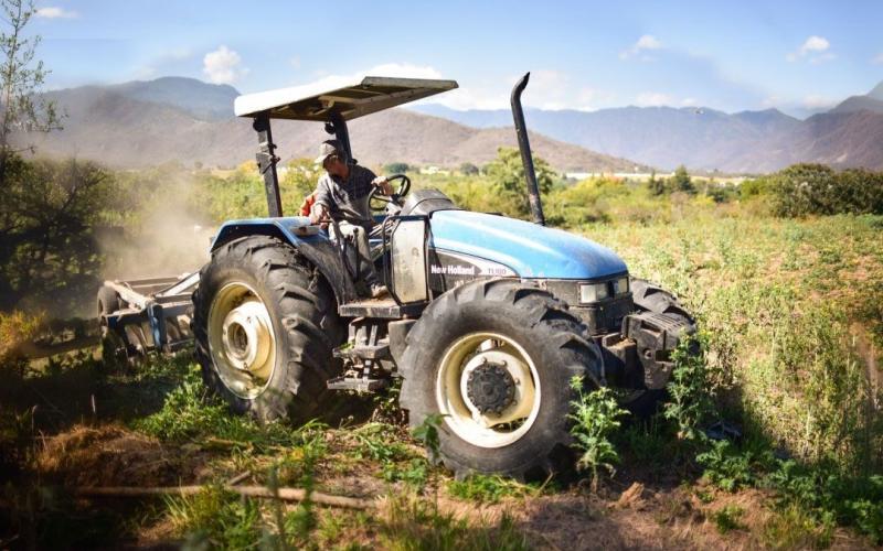 21 de septiembre | Día Nacional del Agricultor y del Empresario Agrícola