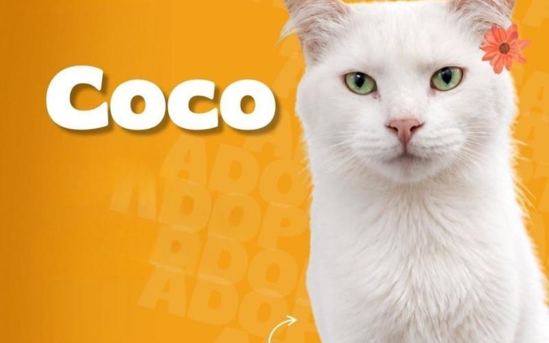 Dale la oportunidad de ser parte de tu familia