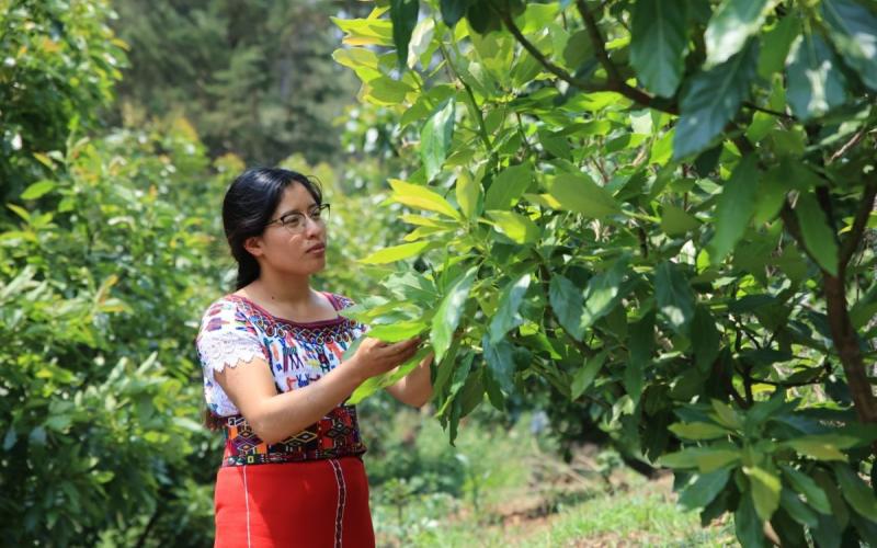 Agromujer impulsa nuevas oportunidades para jóvenes de Oriente