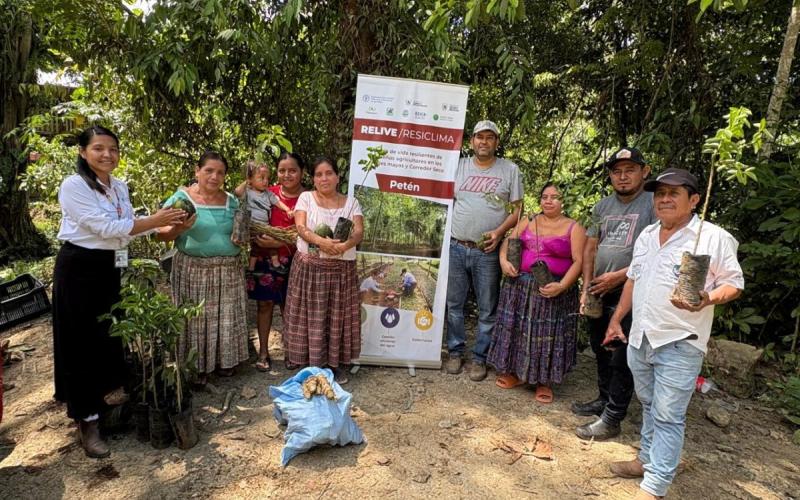 Familias rurales de Petén fortalecen la diversificación de sus huertos