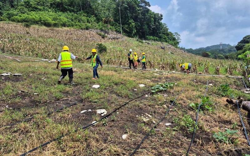 Aprovechan agua pluvial para impulsar la producción agrícola sostenible