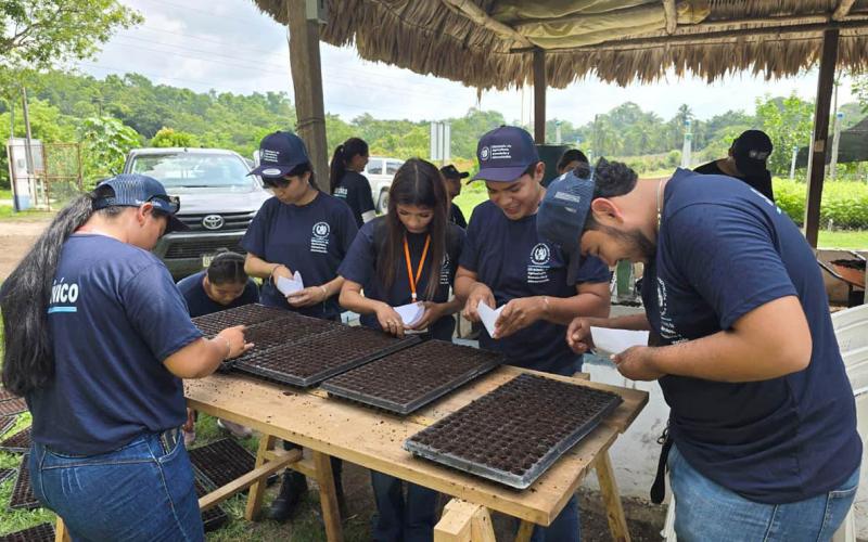 Jóvenes del Servicio Cívico aprenden en Petén la producción de pilones de hortalizas