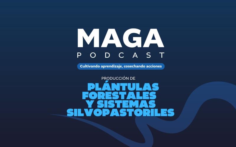 MAGA Podcast en Spotify | Plántulas forestales y sistemas silvopastoriles