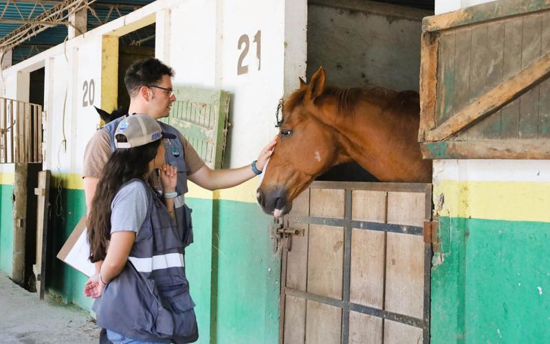 Detrás de cada animal de granja hay una vida que cuidar