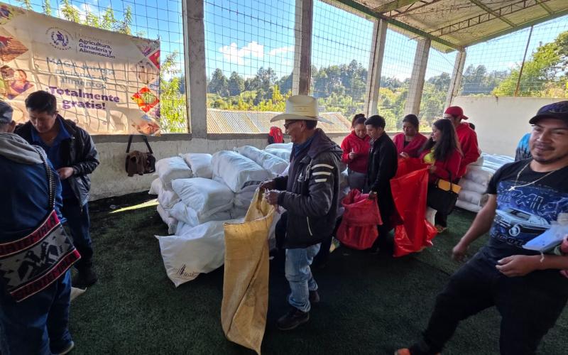 Entregadas raciones de alimentos a más de 11 mil familias