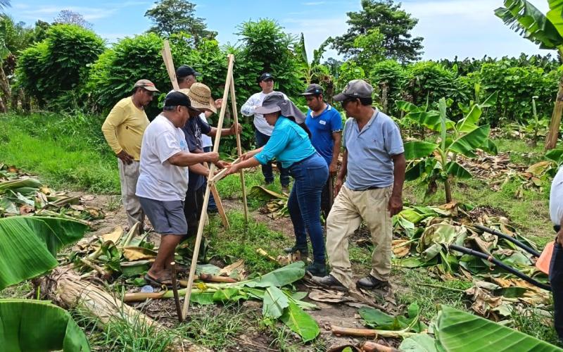 Establecen parcela demostrativa para el aprovechamiento de agua de lluvia
