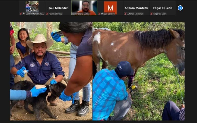 Extensionistas refuerzan conocimientos para detectar el Gusano Barrenador