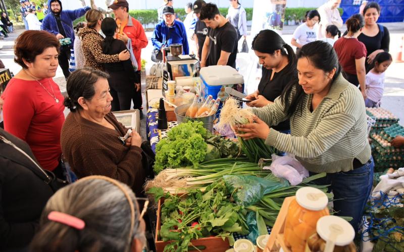 Familias capitalinas se abastecen para el tradicional fiambre en la Feria del Agricultor