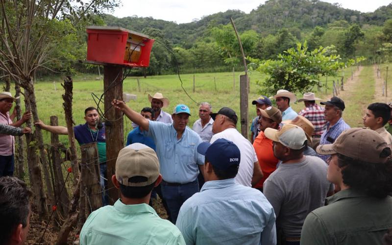 Fortalecen sistemas ganaderos con cercas eléctricas