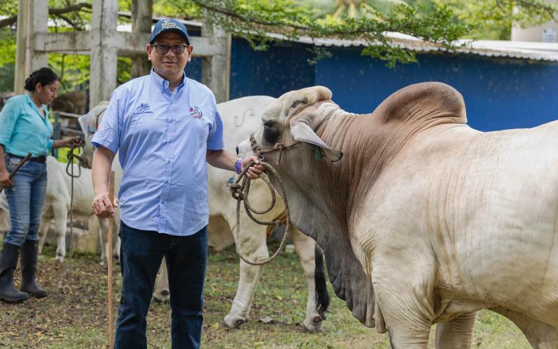 Ganadería guatemalteca destaca por su productividad, sostenibilidad y alta genética