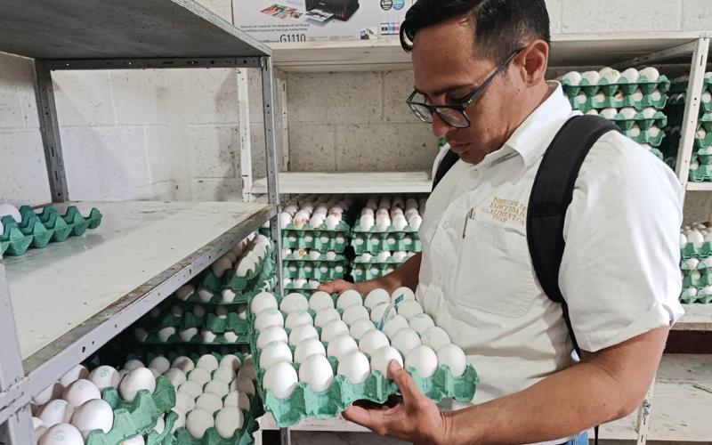 Pruebas de laboratorio reportan resultados negativos en muestras de huevo