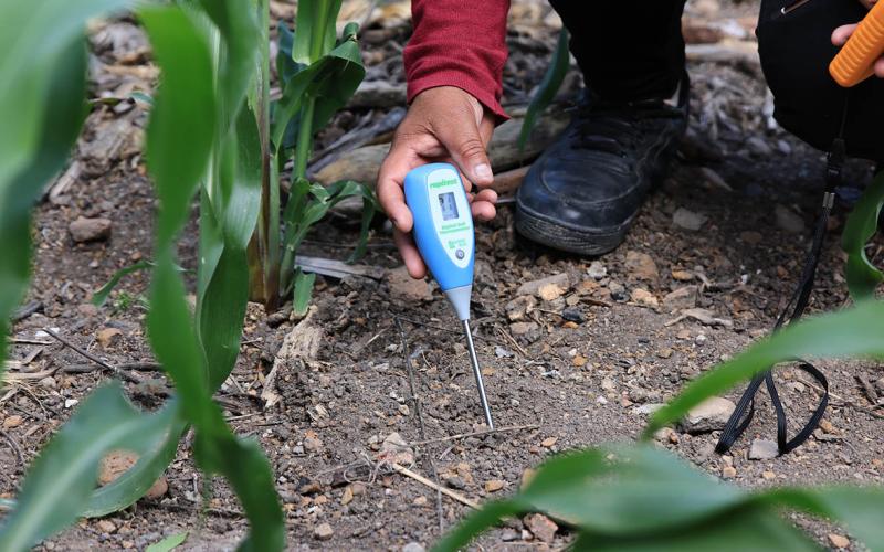 Impulsamos prácticas agrícolas que protegen la producción de alimentos