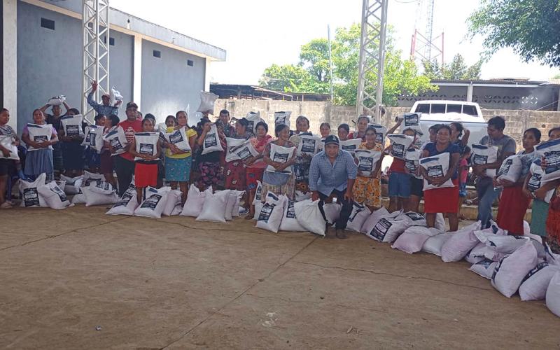 Insumos fortalecen la producción de alimentos en hogares rurales