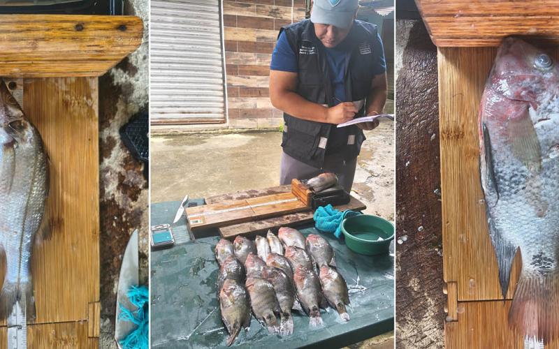 Registran especies de Río Dulce durante VIII jornada de pesca científica en Río Dulce