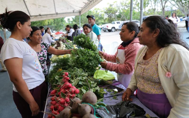 Prepare el fiambre con productos frescos de la Feria del Agricultor