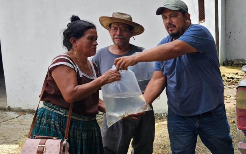 #MAGAcciones | Más de 20 mil alevines entregados para fortalecer la producción acuícola
