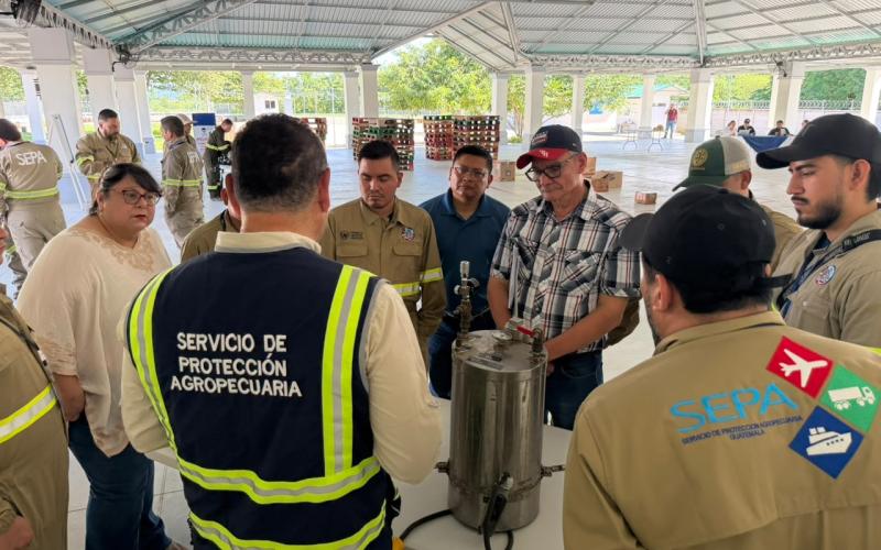 Agricultores de Petén aprenden estrategias de mercado y comercialización