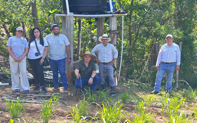 Supervisan parcelas productivas para optimizar el riego y el cultivo de hortalizas en Zacapa
