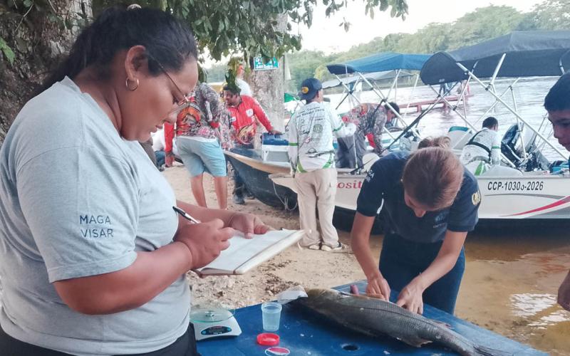 Torneo de pesca aporta datos para conocer mejor del róbalo en Petén
