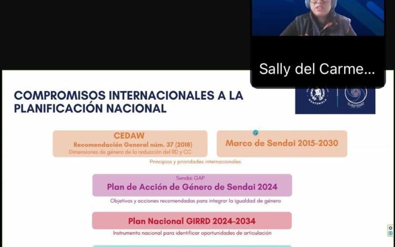 Diálogo Regional “Implementación del Plan de Acción de Género de Sendai: Hacia la resiliencia inclusiva en las Américas y el Caribe”