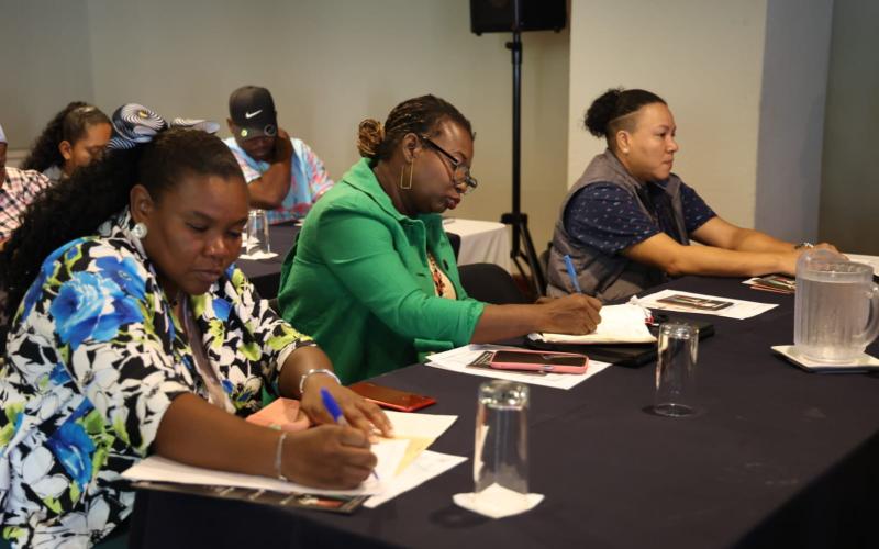 Viceministerio de Interculturalidad promueve el diálogo para dar seguimiento al Segundo Decenio Internacional de las personas afrodescendientes