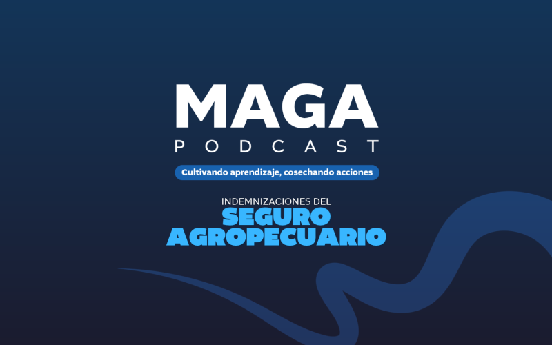 MAGA Podcast en Youtube | Indemnizaciones del Seguro Agropecuario