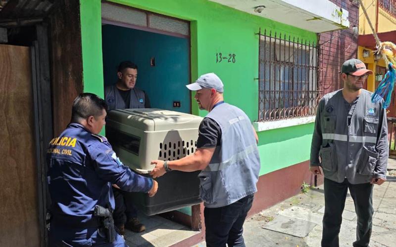 Entregan siete caninos por incumplir libertades del bienestar animal