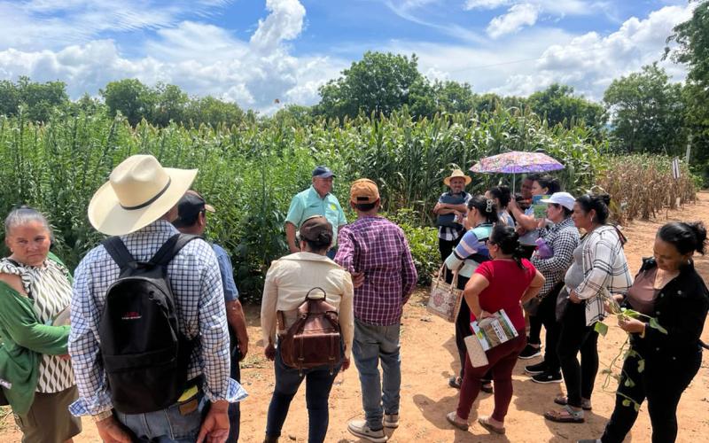 Productores de San José La Arada conocen técnicas para mejorar sus cultivos y la producción pecuaria