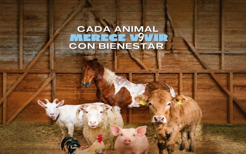 2 de octubre | Día Mundial de los Animales de Granja 